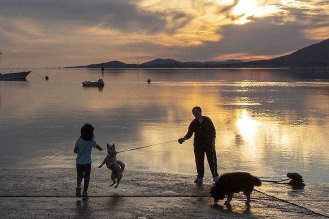 이정헌-가족-반려견과 함께 한 오후 *재판매 및 DB 금지