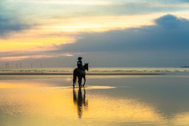 ⓒ한국관광공사