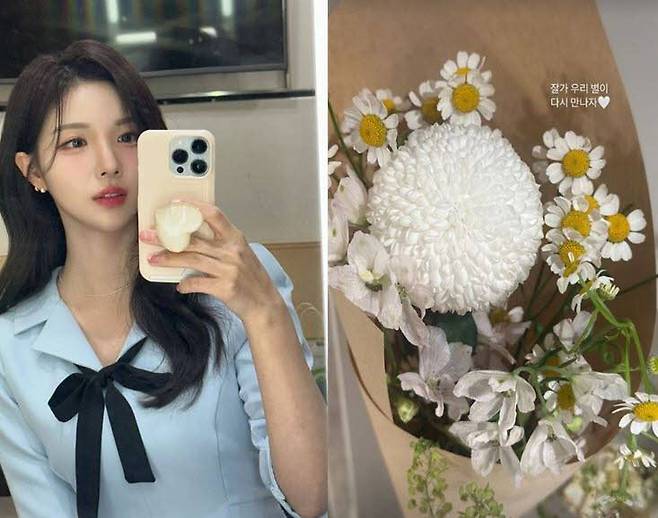 KBS 50기 아나운서 정은혜가 반려견과의 이별 소식을 전했다./사진=정은혜 인스타그램 캡처