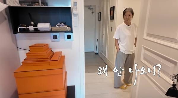 배우 이미숙이 에르메스를 내려놓고 에코백을 택한 이유를 솔직하게 밝혔다. 사진=유튜브