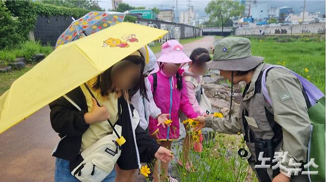 생태 수업에 참여한 순천 성동초 학생들이 자연 속에서 꽃을 관찰하며 생명의 소중함을 배우고 있다. 박사라 기자