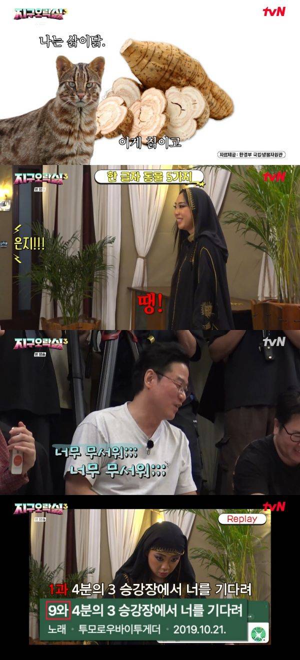 뿅뿅 지구오락실3 / 사진=tvN 캡처