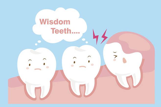 게티이미지뱅크.