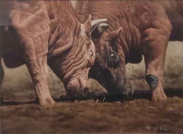 고 배창노 화백 作