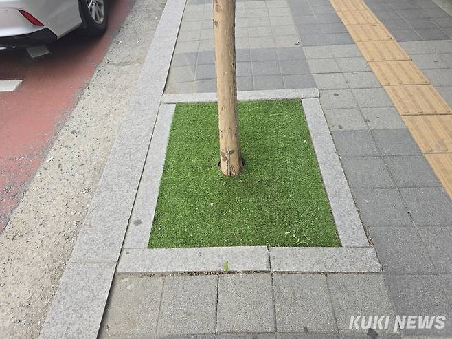 포천시 중앙로 구간 가로수에 설치된 인조잔디 보호덮개.