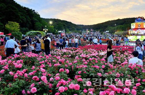 ▲ '2025 울산대공원 장미축제'가 오는 21일 개막해 25일까지 울산대공원 장미원에서 펼쳐진다. 사진은 지난해 행사 모습.