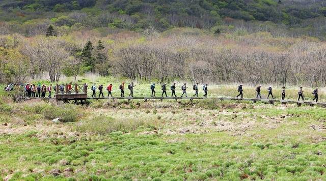 ▲ 인제 대암산 용늪 생태탐방이 최근 재개돼 재개 후 첫 주말·휴일인 지난 18일 탐방객들이 4000여년에 걸쳐 형성된 자연의 숨결을 만끽하고 있다. 대암산 용늪은 해발 1280m에 자리한 우리나라에서 유일한 고층 습원이며 여러 희귀 동식물이 서식하고 있으며 ‘이탄습지 지형’이 잘 보존돼 있다. 인제군 제공