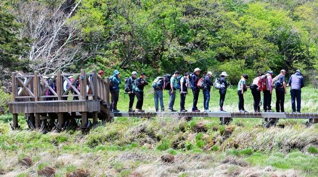 ▲ 인제 대암산 용늪 생태탐방이 최근 재개돼 재개 후 첫 주말·휴일인 지난 18일 탐방객들이 4000여년에 걸쳐 형성된 자연의 숨결을 만끽하고 있다. 대암산 용늪은 해발 1280m에 자리한 우리나라에서 유일한 고층 습원이며 여러 희귀 동식물이 서식하고 있으며 ‘이탄습지 지형’이 잘 보존돼 있다. 인제군 제공