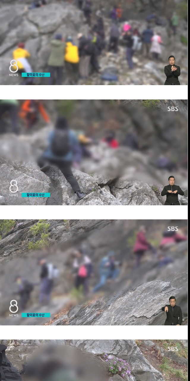 사진작가들이 사진을 찍고나서 훼손하는 이유 사진작가들이 사진을 찍고나서 훼손하는 이유 사진작가들이 사진을 찍고나서 훼손하는 이유