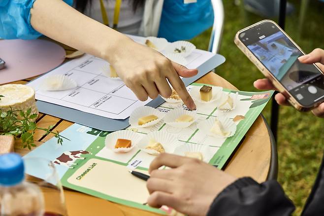 참가자들이 미니 치즈로 빙고 게임을 하고 있는 모습. 홉스코치코리아 제공