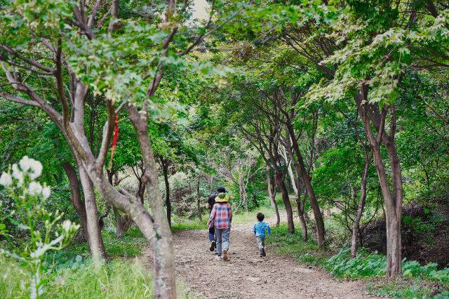 경기둘레길 안성 구간. 경기관광공사 제공