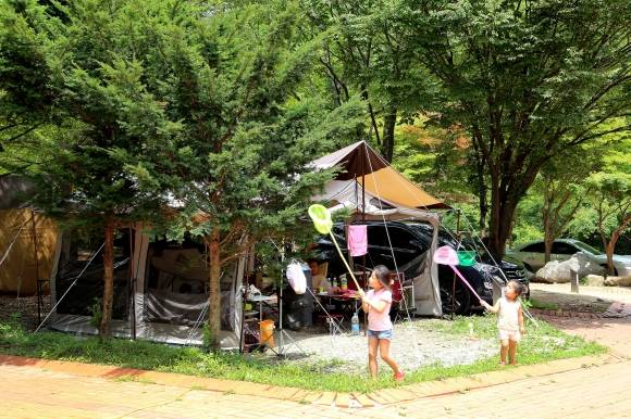 아이들이 덕유산자연휴양림 야영장에서 잠자리채를 들고 곤충채집을 하고 있다. 무주군 제공