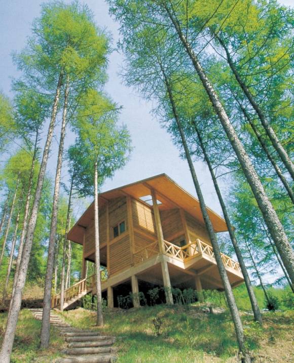 무주덕유산자연휴양림에는 낙엽송과 잣나무가 울창한 숲속 한가운데 오두막 느낌의 숙소들이 배치돼 있다. 덕유산자연휴양림의 대표 명물로는 독일가문비나무 숲이 꼽힌다. 무주군 제공