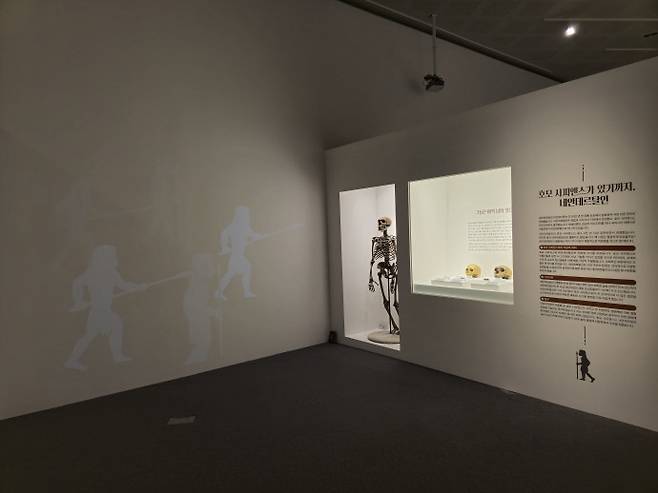 전곡선사박물관 '아름답고 슬픈 멸종동물 이야기' 전시장의 네안데르탈인 전시 모습. 사진=경기문화재단