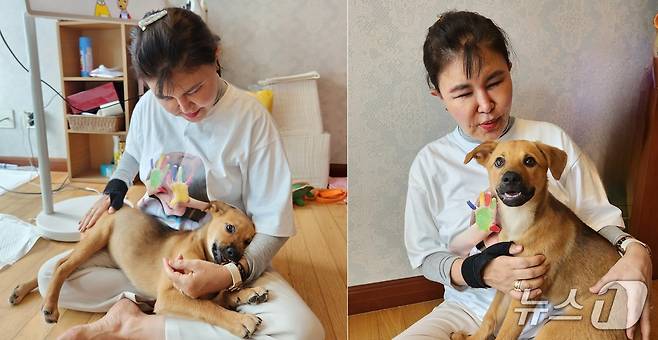 칸초를 임시 보호하며 가족을 찾아주고 있는 강소영 서울디지털대학교 미디어영상학과 교수 ⓒ 뉴스1 한송아 기자