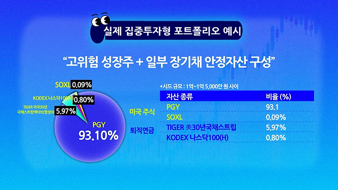 실제 집중투자형 투자자의 포트폴리오 예시 / 유튜브 <영앤리치> 갈무리