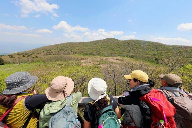강원 인제군 대암산 용늪 지역 생태탐방에 나선 탐방객들이 자연을 만끽하고 있다. 연합뉴스