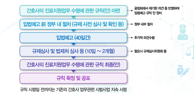 정부가 21일 공개한 PA(진료지원)간호사 시행규칙 입법예고를 위한 로드맵/보건복지부 제공
