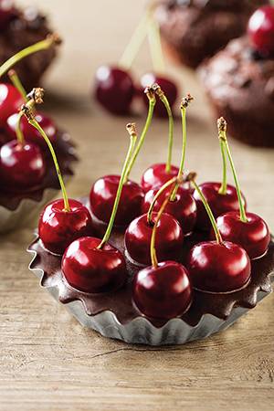 게티이미지뱅크