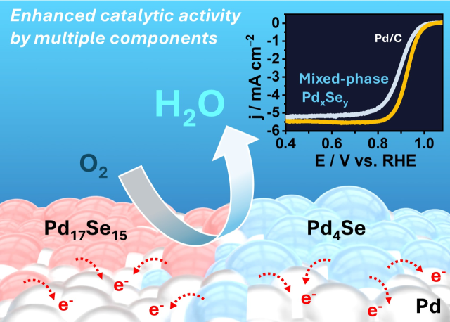 팔라듐 셀레나이드(Pd-Se) 다상 구조 촉매. 사진 제공=GIST