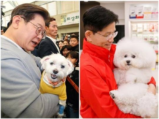 이재명 (사진 왼쪽) 더불어민주당 대선 후보와 김문수 국민의힘 대선 후보. 연합뉴스