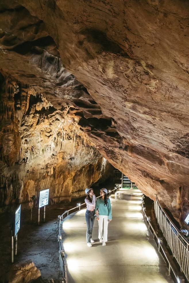 성류굴 내부 모습. 울진군 제공