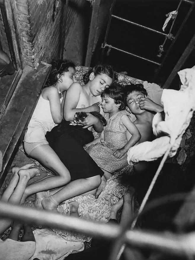 뉴욕주 로어이스트 사이드 지역의 어빙과 리빙턴 거리에 있는 연립주택 화재 대피소에서 네 명의 아이들과 고양이가 잠을 자고 있다. 1941년 5월 23일,위지 촬영