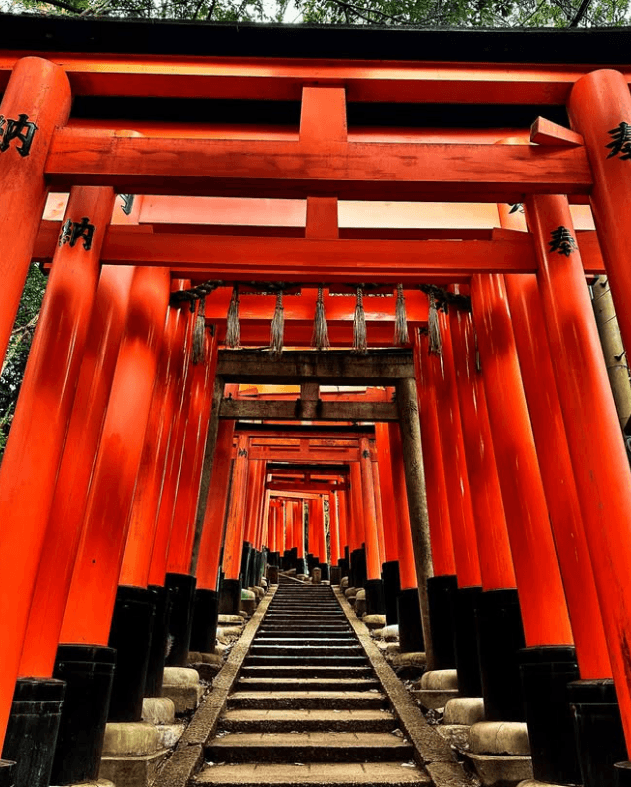 0b988176bd866af523ea8496309c706bc16e3a188c2794a1e576eb05dd8fa4a75bb285917ededa646ac2462ddccf54a3f81e9c3ecf