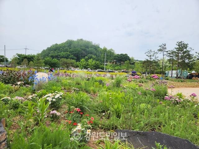 ▲ ▲2025년 동서강정원 연당원 봄 가든 쇼가 열리는 풍경