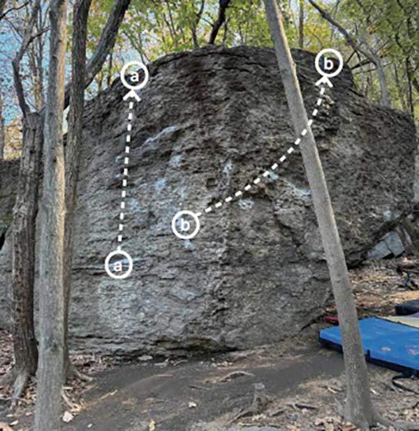 a Tree Spotter V1. b 취객 V2.