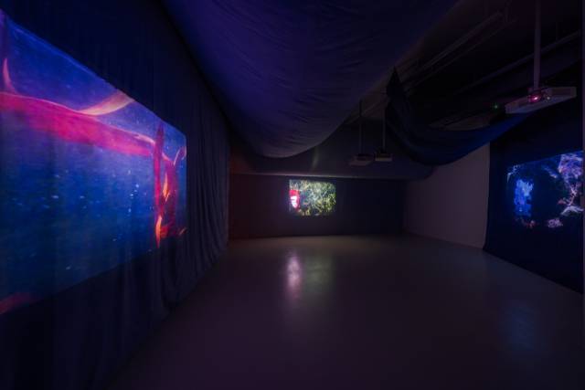 울라 폰 브란덴부르크의 개인전 ‘물 아래 그림자' 전시장에서 ‘아무도 중간을 그리지 않는다’가 상영되고 있다. 사진 제공=바라캇컨템포러리