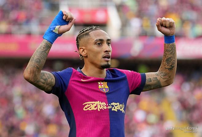 하피냐. 사진=게티이미지코리아