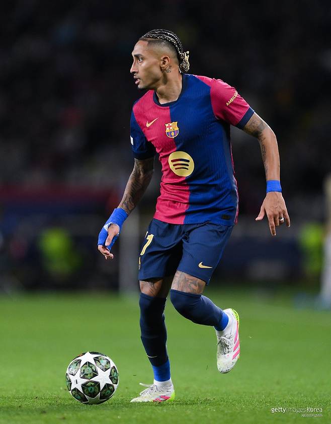 하피냐. 사진=게티이미지코리아