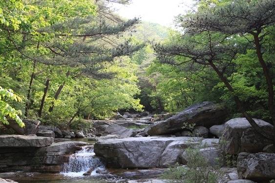 National Daeyasan Recreation Forest retreat in Mungyeong, North Gyeongsang Province (Korea Forest Service)