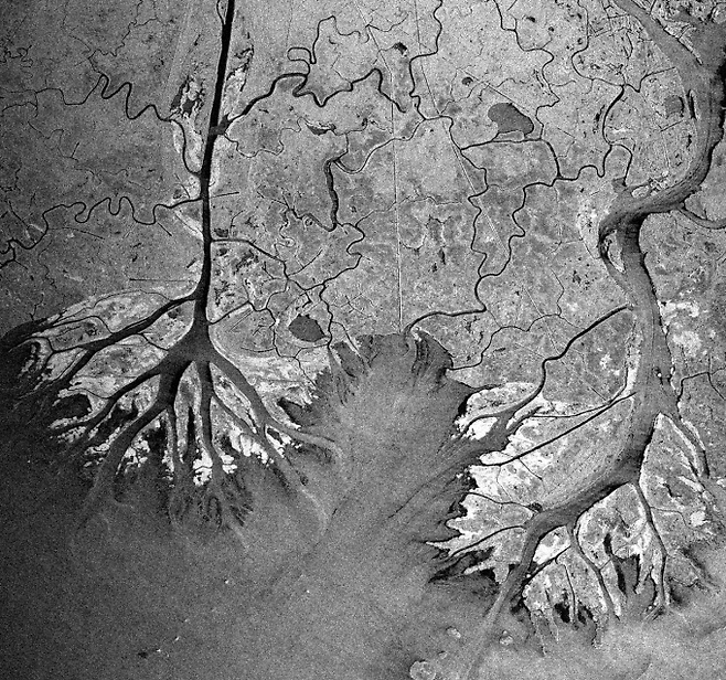 차세대소형위성2호가 2024년 7월 24일 관측한 미국 루이지애나주 아차팔라야강 일대. 나뭇잎처럼 자라는 왁스 호수의 삼각주를 볼 수 있다. KAIST 제공.