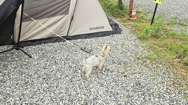 20250524_091336.jpg 캠핑 2일차) 아침 누룽지