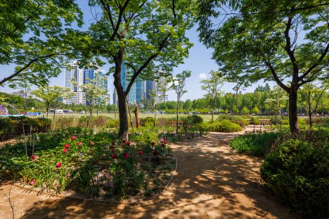 ‘2025 서울국제정원박람회’에 독일 조경가 마르크 크리거가 참여한 정원 모습. 사진제공=서울시