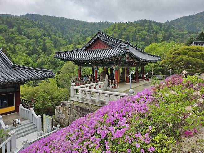 ◇상원사는 산중에 자리잡은 선원이다. 현존하는 동종 중 가장 오래되고 아름다운 상원사동종(국보 제 36호)이 있는 곳이기도 하다. 사진제공=지엔씨21