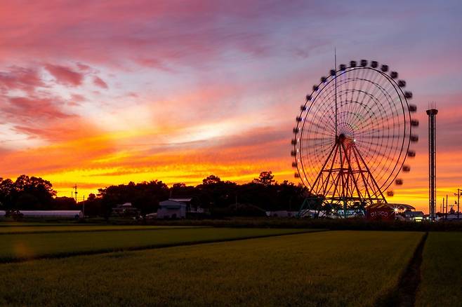 석양에 불게 물든 당진 삽교호관광지의 대관람차. 삽교호관광지는 퇴역군함을 활용한 삽교호 함상공원과 해양안전과 해양생물에 대해 알아볼 수 있는 해양테마체험관 등 다양한 시설이 있다 사진제공|한국관광공사