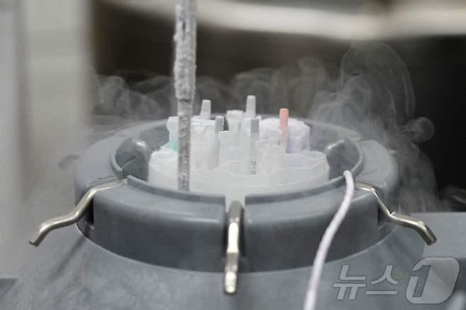 액체 질소에 동결된 냉동 정자. (기사와는 무관한 사진) ⓒ AFP=뉴스1 ⓒ News1 정지윤 기자