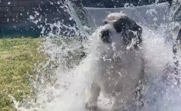 사진=틱톡 갈무리