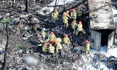 추락한 해군 초계기 탑승자 수색 (포항=연합뉴스) 윤관식 기자 = 29일 오후 1시 50분께 경북 포항시 남구 동해면 신정리 한 야산에 해군 초계기가 추락한 가운데 소방 관계자들이 탑승자 수색을 하고 있다. 2025.5.29 psik@yna.co.kr