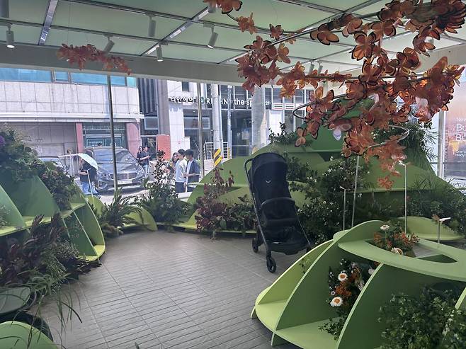 부가부 성수동 팝업스토어 1층 네이처존 전경. 황소영 기자 fangso@donga.com