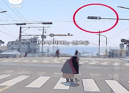 사진=온라인 갈무리