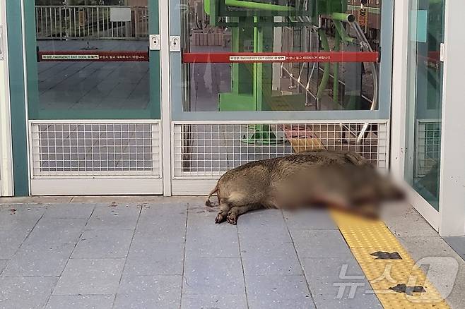 (사진은 기사 내용과 무관함) / 뉴스1 ⓒ News1