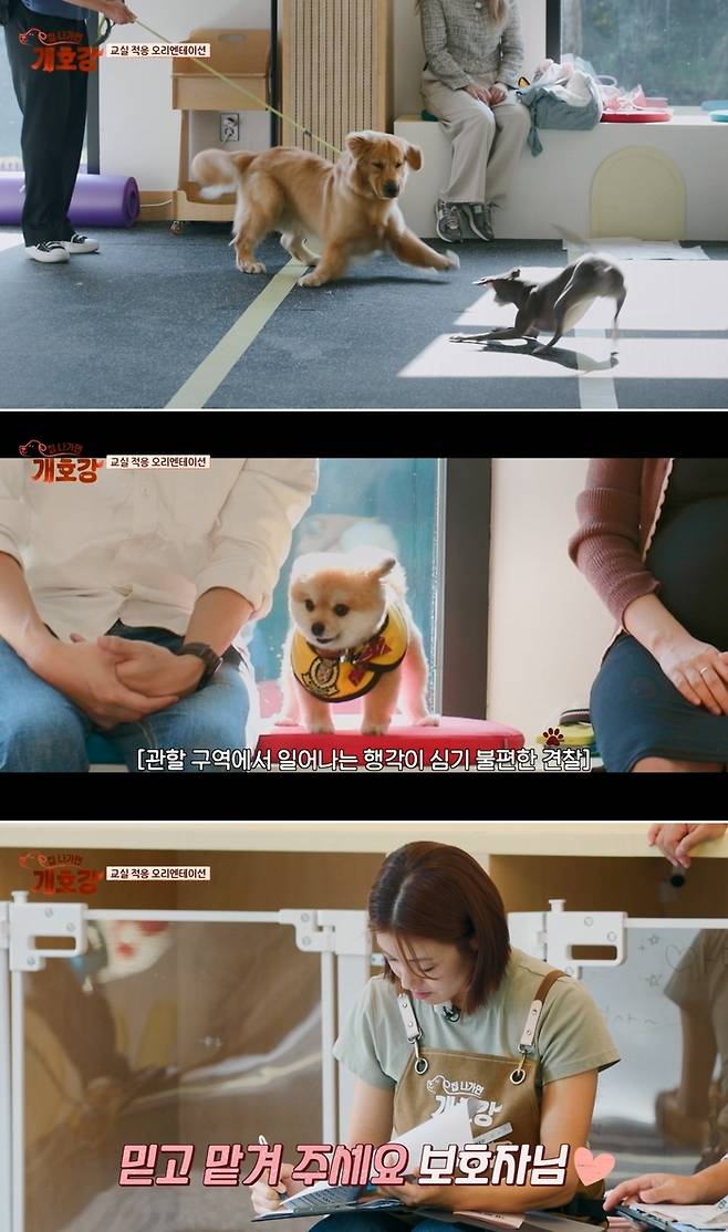 전현무. 사진 | JTBC ‘집 나가면 개호강’