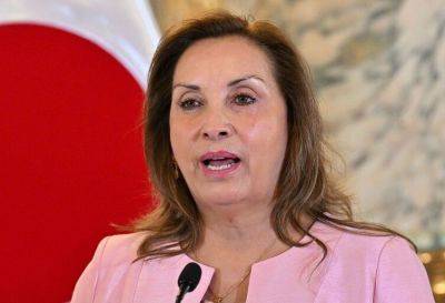 디나 볼루아르테 페루 대통령 연합뉴스