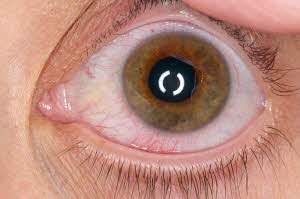 사진=클립아트코리아