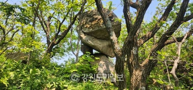 ▲ 대암산 장사바위.