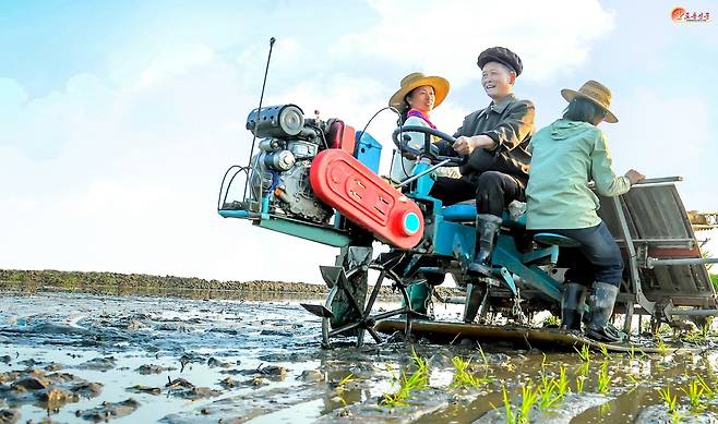 북한 노동당 기관지 노동신문은 30일 "증산군 풍정농장에서 모내기 일정 계획을 1.3배 이상으로 수행해 기본면적의 모내기 마감단계로 진입하고 있다"라고 전했다.